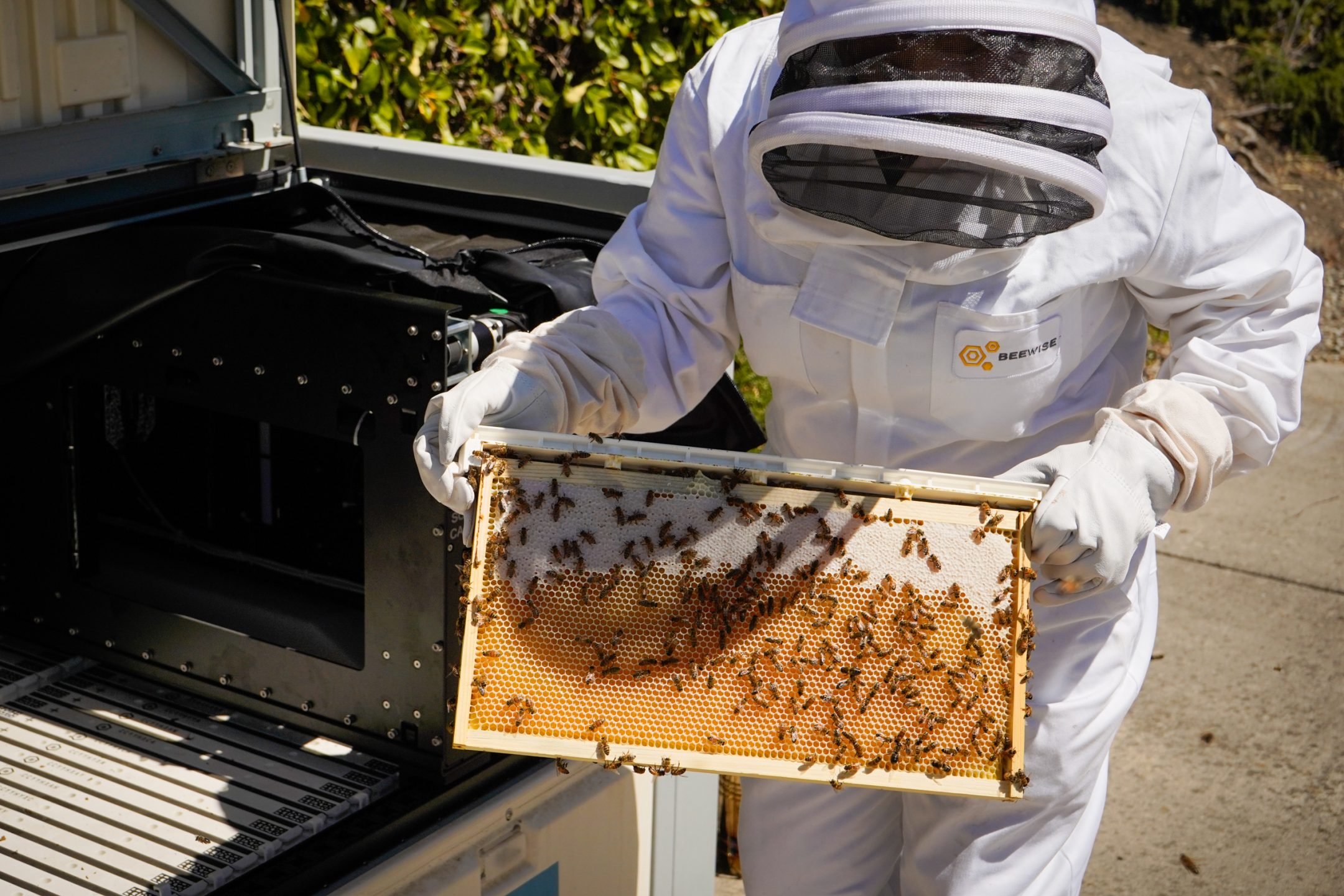 A person in a beekeeping suit holds a honeycomb frame covered with bees, standing next to an open hive outdoors at an Eskaton senior living community, where residents can explore innovative features like an AI-powered beehive.